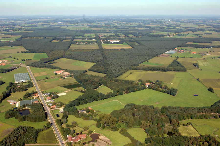 Koloniewortel vzwkempenslandschap viaerf goedbe copy